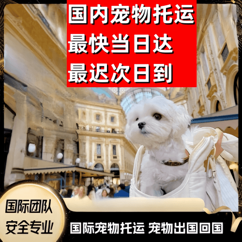 日喀则地区到澳大利亚（澳洲）宠物入境规定和要求