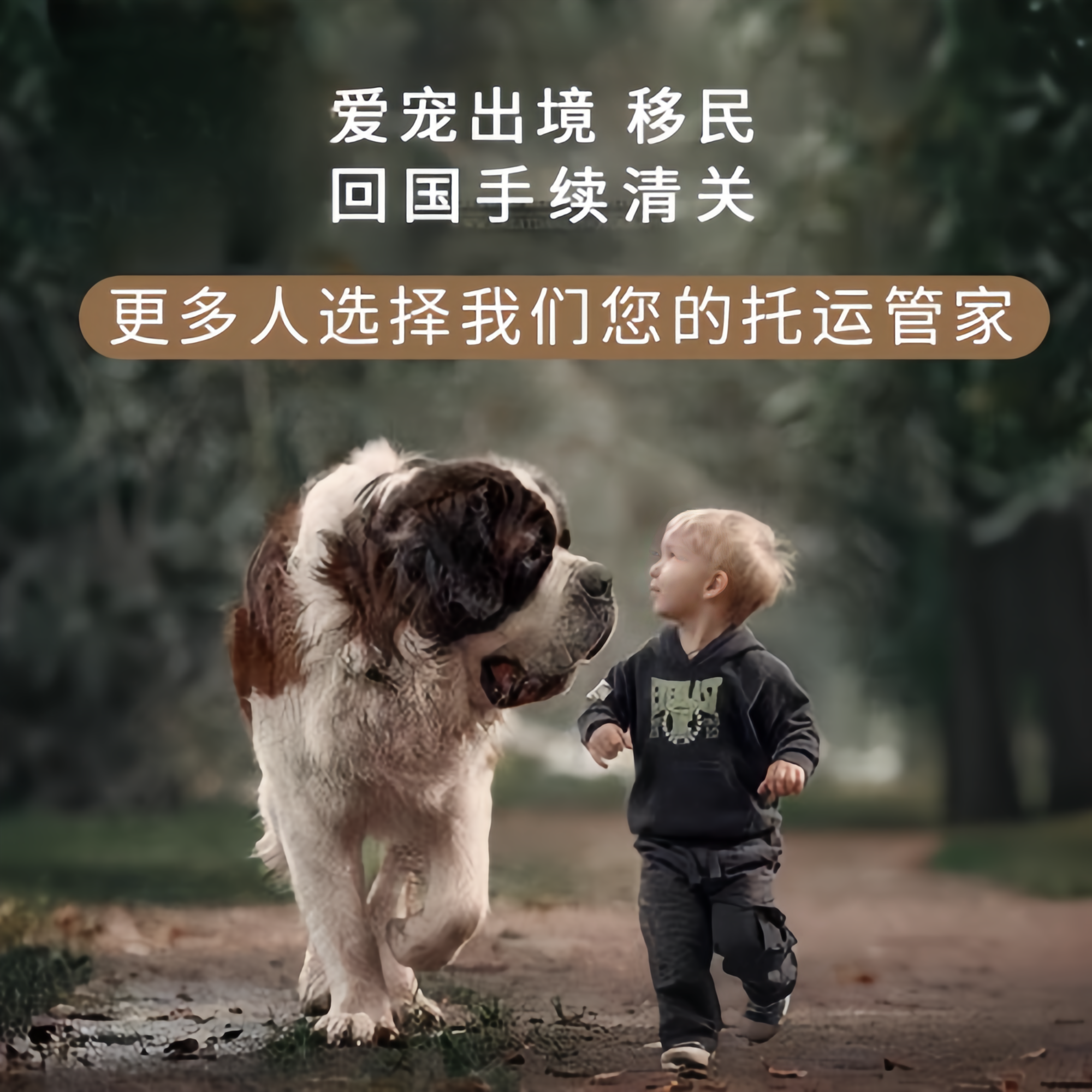 满财日喀则地区宠物全球达宠物托运在遵守入境目的地政策的条件