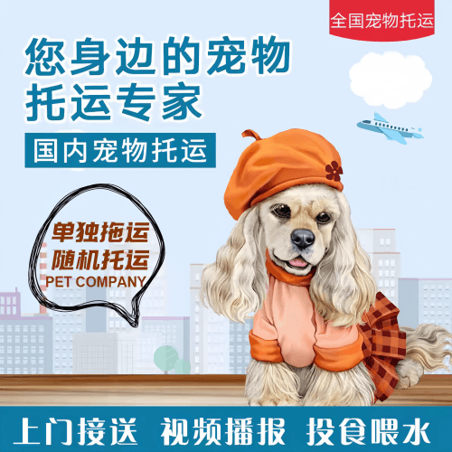 满财日喀则地区宠物全球达宠物托运作为专业的宠物运输代理机构
